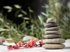 A stack of smooth stones balanced neatly, with a branch of red flowers and green leaves lying in the foreground, set against a soft-focus natural background.